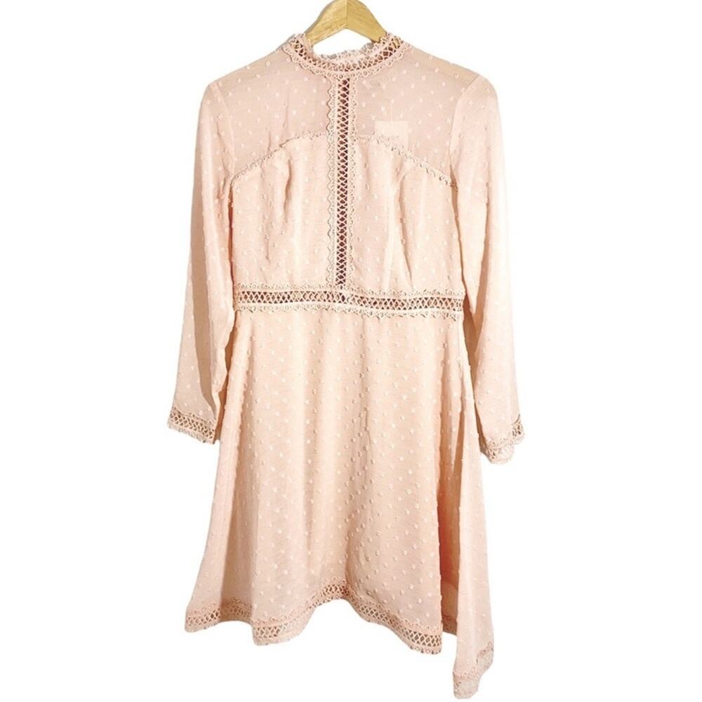 Metisu Pink Cutout Lace Detail Semi Sheer Overlay Dotted Dress, Size Medium